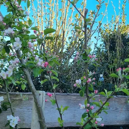 Alojamento de Acomodação e Pequeno-almoço Artisan Hideaway