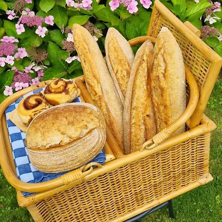 Alojamento de Acomodação e Pequeno-almoço Artisan Hideaway 3*