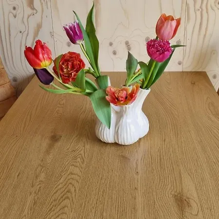 Bed and breakfast Artisan Hideaway Breezand (North Holland)