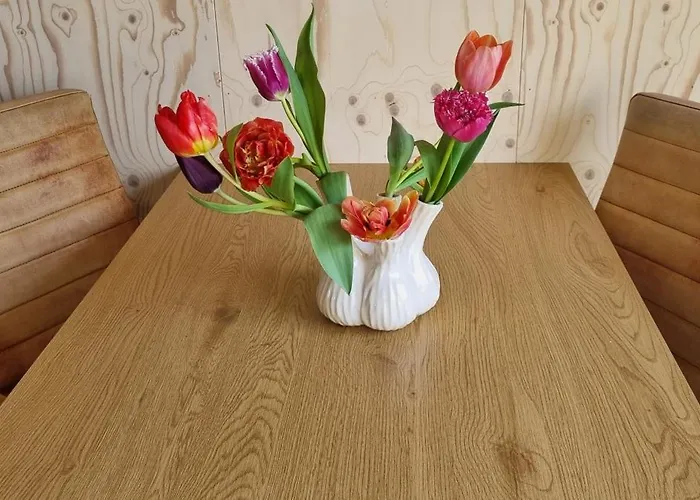 Bed and breakfast Artisan Hideaway Breezand (North Holland)