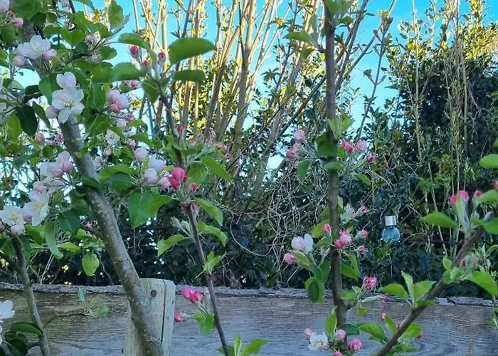 Bed and breakfast Artisan Hideaway