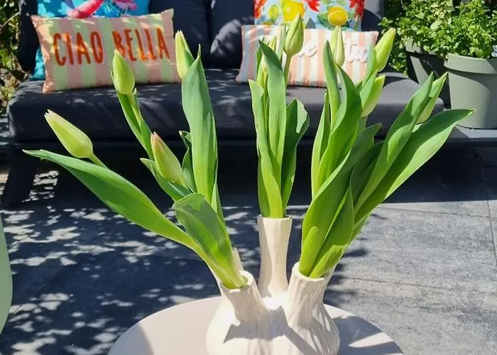 Artisan Hideaway Bed and breakfast 3*