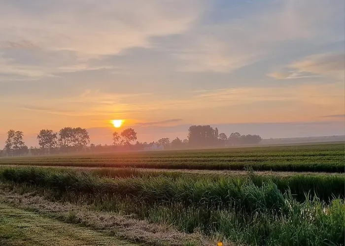 Bed and breakfast Artisan Hideaway Breezand (North Holland)